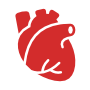 cardiac.png (3 KB)
