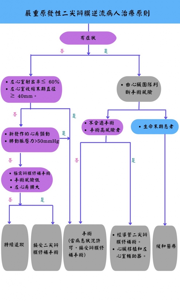 S__36094005.jpg (105 KB)